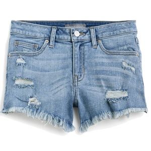 Size 26, Barely Worn, Distressed Shorts